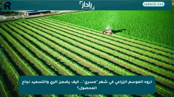 ذروة الموسم الزراعي في شهر “مسرى”.. كيف يضمن الري والتسميد نجاح المحصول؟
